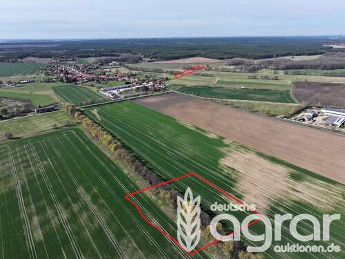 Foto - Grundstück in Treuenbrietzen Bardenitz 20.900,00 € 21016 m²