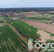 Grundstück in Treuenbrietzen Bardenitz 20.900,00 € 21016 m² - Treuenbrietzen / Bardenitz