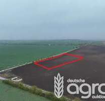 Grundstück in Bördeland 23.900,00 € 7794 m²