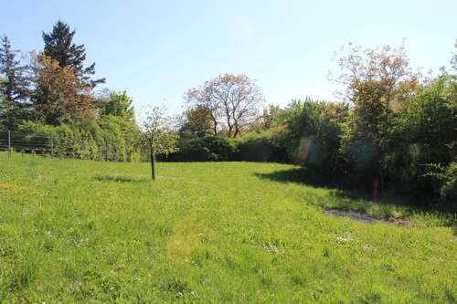 Foto - Grundstück zu verkaufen in Bruchsal 69.000,00 € 3677 m²