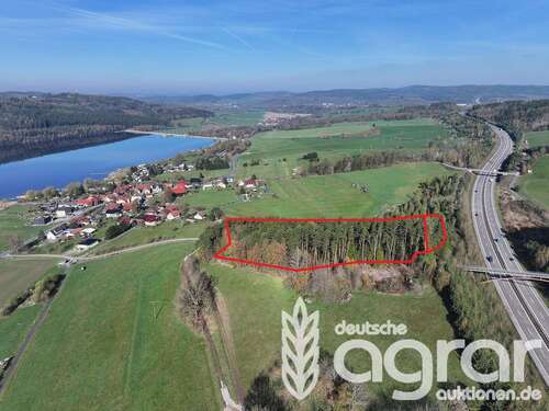 Foto - Grundstück in Schleusingen 9.900,00 € 10999 m²