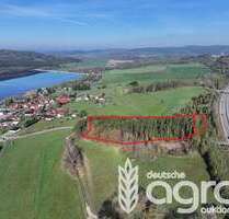 Grundstück in Schleusingen 9.900,00 € 10999 m²