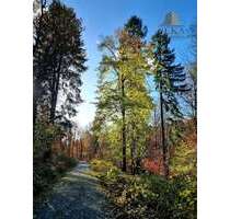 Grundstück zu verkaufen in Tiefenbach 45.000,00 € 3812 m²