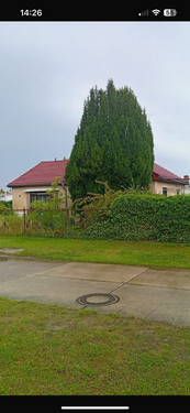 Foto - Haus zum Kaufen in Berlin 379.000,00 € 85 m²