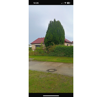 Haus zum Kaufen in Berlin 379.000,00 € 85 m²