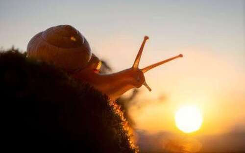 Foto - Wohnung zum Mieten in Angermünde 845,00 € 122.6 m²