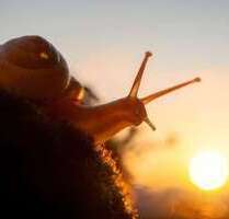 Wohnung zum Mieten in Angermünde 845,00 € 122.6 m²