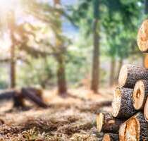 Grundstück in Ohlstadt 148.440,00 € 24740 m²