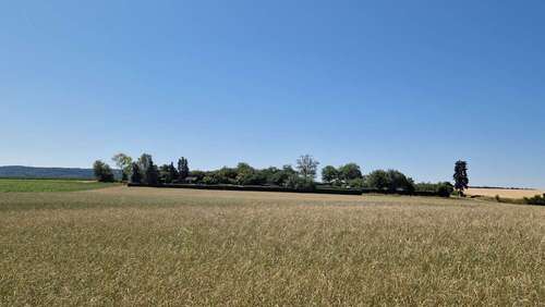 Foto - Grundstück zu verkaufen in Leonberg 44.000,00 € 920 m²