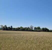 Grundstück zu verkaufen in Leonberg 44.000,00 € 920 m²