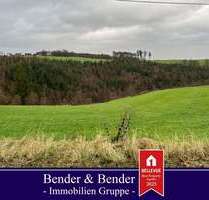 Grundstück zu verkaufen in Birken-Honigsessen 118.000,00 € 2363 m²