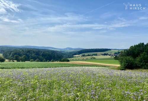 Foto - Grundstück zu verkaufen in Geiselbach 150.000,00 € 450 m²