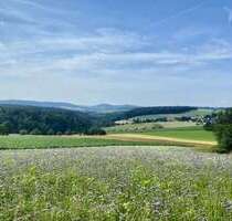 Grundstück zu verkaufen in Geiselbach 150.000,00 € 450 m²