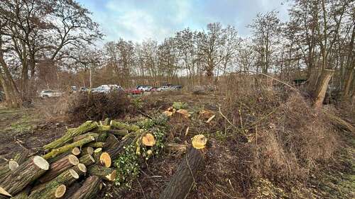 Foto - Wohnung zum Kaufen in Eberswalde 136.950,00 € 24.9 m²