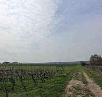 Haus zum Kaufen in Gimbsheim 379.000,00 € 109 m²