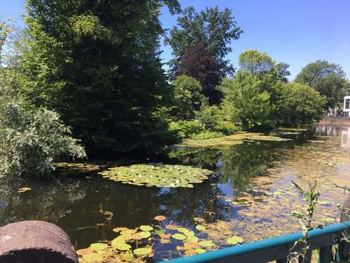 Foto - Wohnung zum Mieten in Bonn 620,00 € 40 m²