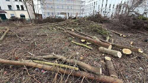 Foto - Wohnung zum Kaufen in Eberswalde 105.448,50 € 19.71 m²