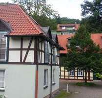 Wohnung zum Mieten in Wernigerode 485,00 € 42.3 m²
