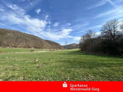 Foto - Spezialgewerbe in Seelbach 139.000,00 €