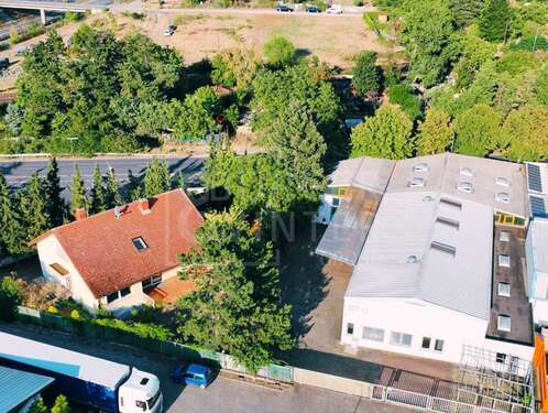 Foto - Büro in Schwetzingen 1.499.900,00 € 778 m²