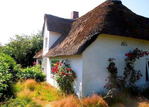 Foto - Haus zum Kaufen in Niebüll 199.000,00 € 140 m²