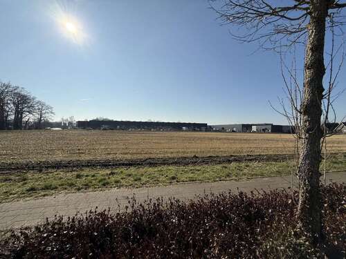 Foto - Halle in Rhede 18.300,56 € 4575.14 m²