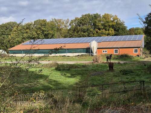 Foto - Halle in Burg (Dithmarschen) 199.000,00 € 1000 m²