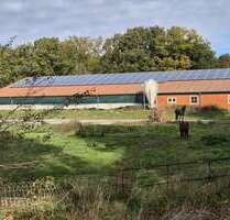 Halle in Burg (Dithmarschen) 199.000,00 € 1000 m²