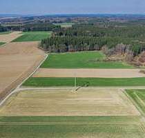 Grundstück in Thannhausen 91.000,00 € 9105 m²