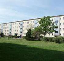 Wohnung zum Mieten in Eberswalde 452,00 € 50.25 m²