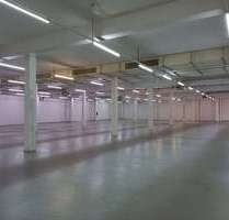 Halle in Grimma 4.774,32 € 1465.29 m²