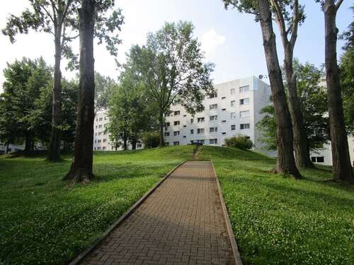 Foto - Wohnung zum Mieten in Chemnitz 260,00 € 43.03 m²