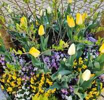 Wohnung zum Kaufen in Dietenheim 165.000,00 € 76 m²