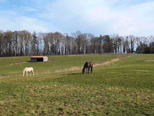 Foto - Wohnung zum Kaufen in Dietenheim 165.000,00 € 76 m²