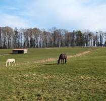 Wohnung zum Kaufen in Dietenheim 165.000,00 € 76 m²