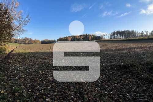 Foto - Grundstück in Wurmannsquick 295.000,00 € 24784 m²