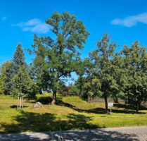 Grundstück zu verkaufen in Oberbarnim 86.000,00 € 660 m²