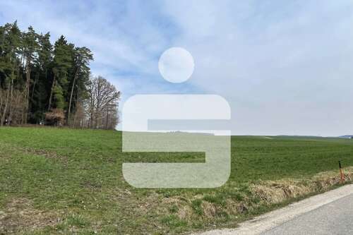 Foto - Grundstück in Gangkofen 145.000,00 € 11237 m²