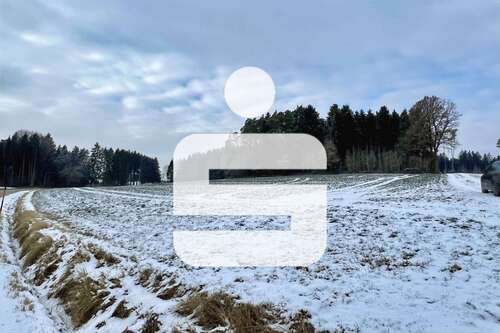 Foto - Grundstück in Gangkofen 145.000,00 € 11237 m²