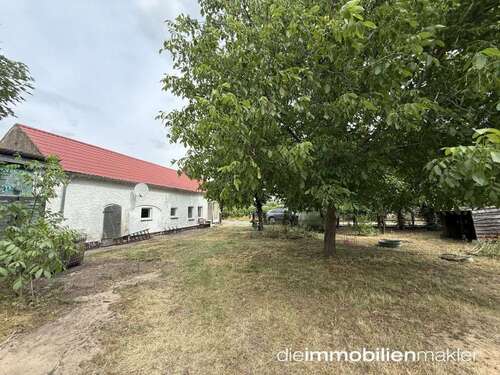 Foto - Haus zum Kaufen in Märkische Heide 59.000,00 € 51 m²