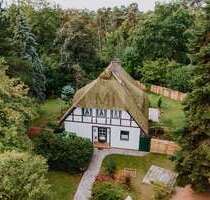 Haus zum Kaufen in Neetze Süttorf 445.000,00 € 130 m² - Neetze / Süttorf