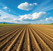 Halle in Buchholz in der Nordheide 695.000,00 € 600 m²