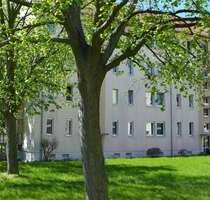 Wohnung zum Mieten in Borna 272,00 € 45.3 m²