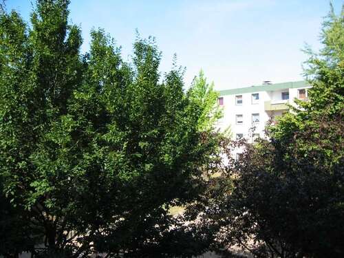 Foto - Wohnung zum Mieten in Dortmund 418,20 € 82 m²