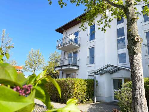 Foto - Wohnung zum Mieten in Halle (Saale) 312,00 € 39 m²