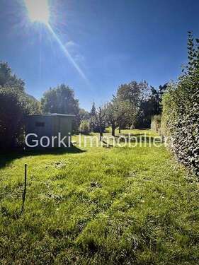 Foto - Grundstück zu verkaufen in Erlenbach 18.500,00 € 1000 m²