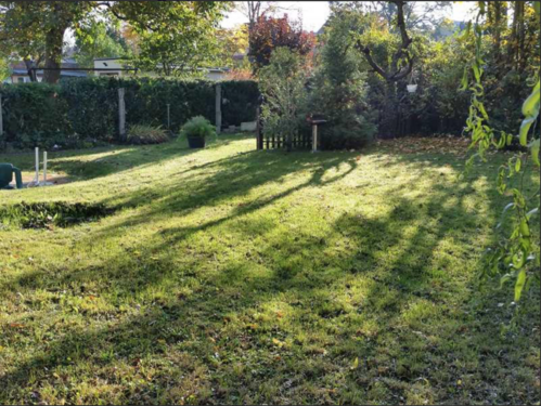 Foto - Wohnung zum Mieten in Burg 301,00 € 43 m²