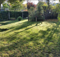 Wohnung zum Mieten in Burg 301,00 € 43 m²