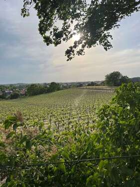 Foto - Haus zum Kaufen in Werder 455.800,00 € 117 m²