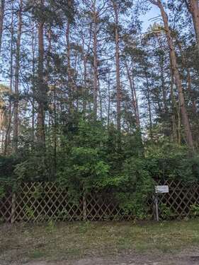 Foto - Grundstück in Borkwalde 53.000,00 € 1002 m²